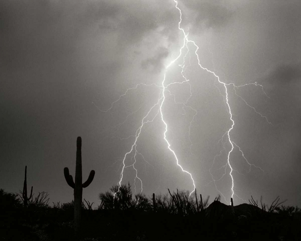 Electric Desert I - BW art print by Douglas Taylor for $57.95 CAD