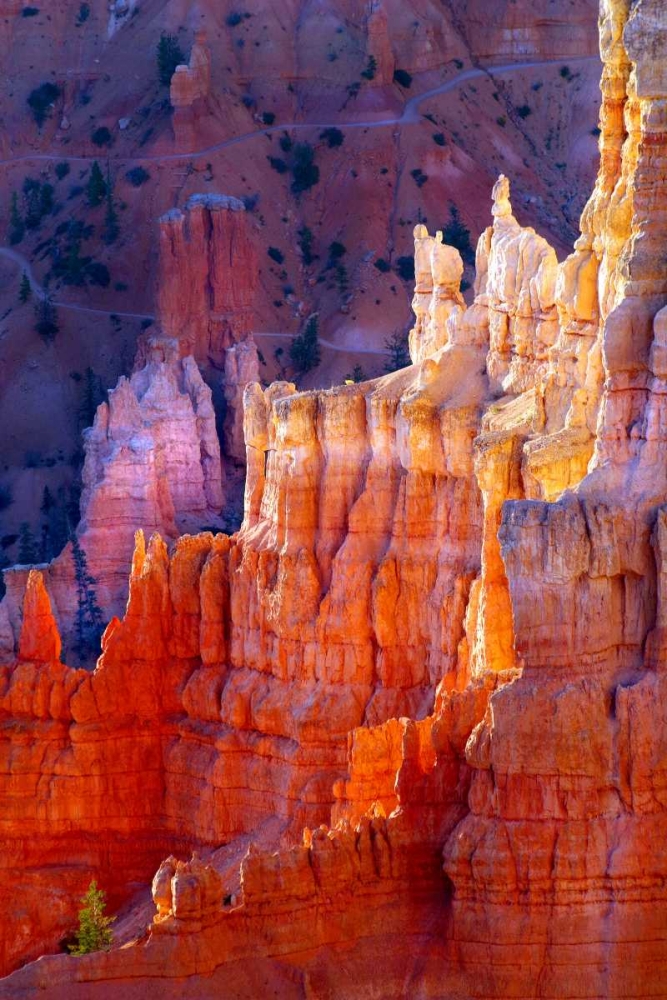 Bryce Canyon Dawn art print by Douglas Taylor for $57.95 CAD