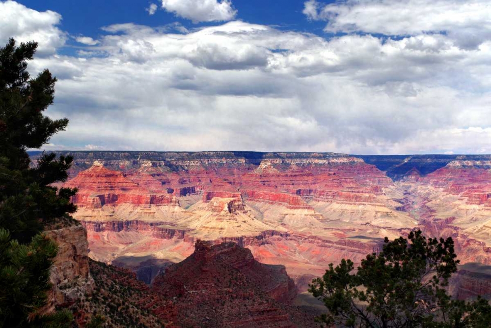Grand Canyon Skies art print by Douglas Taylor for $57.95 CAD