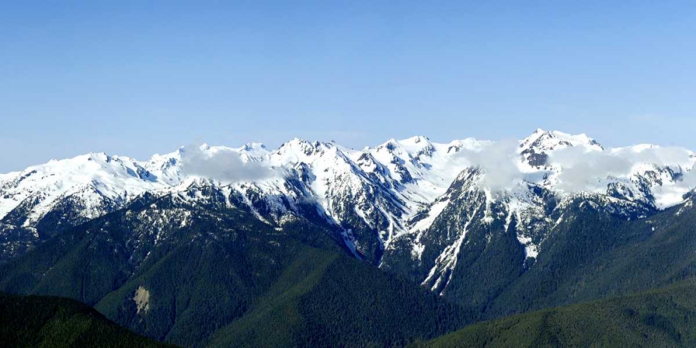 Hurricane Ridge Vista art print by Douglas Taylor for $57.95 CAD