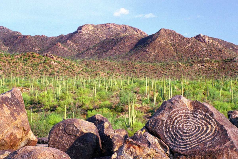 Signal Hill art print by Douglas Taylor for $57.95 CAD