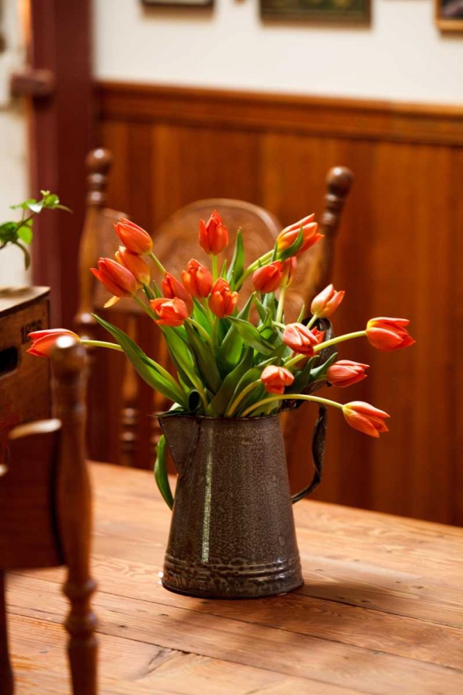 Fresh Tulips I art print by Philip Clayton-Thompson for $57.95 CAD