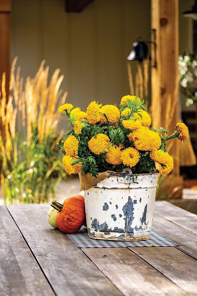 Autumn Mums I art print by Blackstone Edge Studios for $57.95 CAD