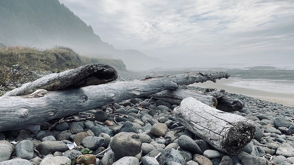 Rocky Shoreline II art print by Blackstone Edge Studios for $57.95 CAD