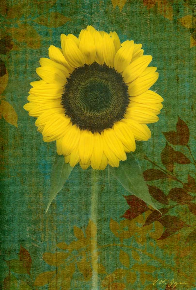 Sunflower art print by Vitaly Geyman for $57.95 CAD
