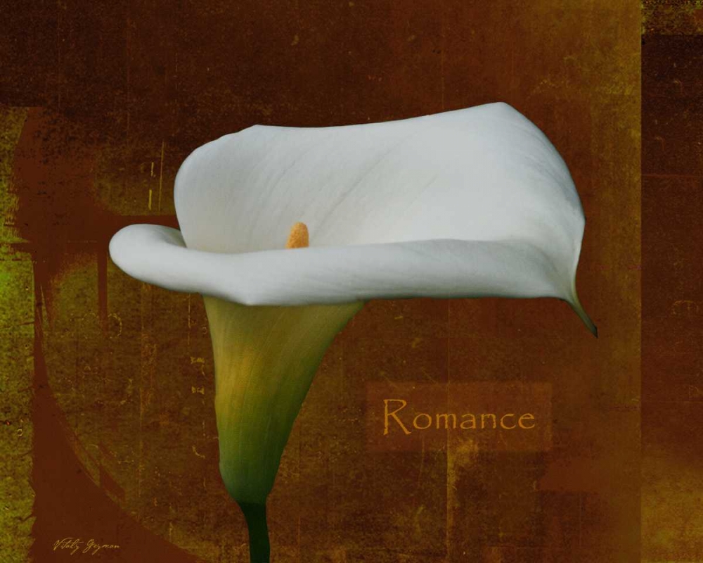 Calla Lily Romance art print by Vitaly Geyman for $57.95 CAD