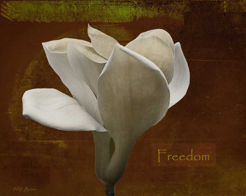 Zen Tulip Freedom art print by Vitaly Geyman for $57.95 CAD