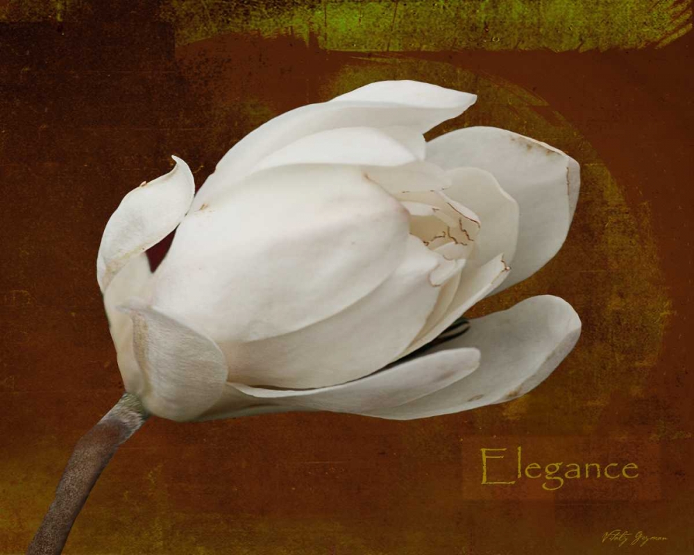 Floral Dance Elegance art print by Vitaly Geyman for $57.95 CAD
