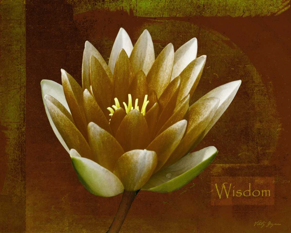 Rustic Lotus Wisdom art print by Vitaly Geyman for $57.95 CAD
