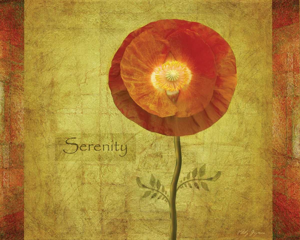 Poppy Serenity art print by Vitaly Geyman for $57.95 CAD