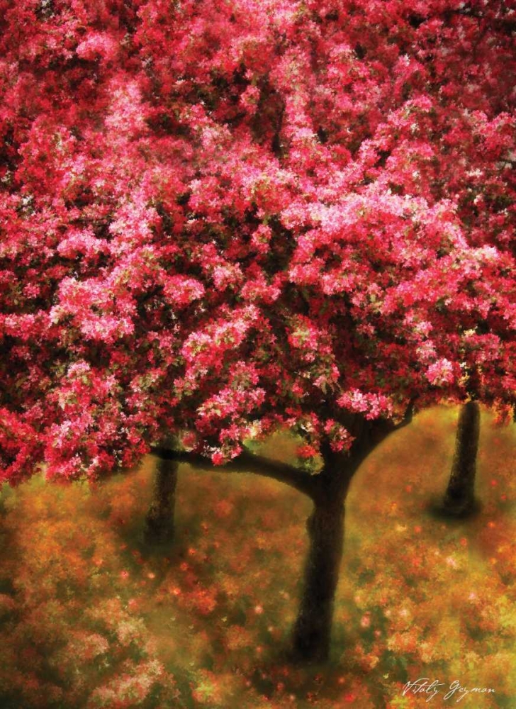Pink Cherry Tree art print by Vitaly Geyman for $57.95 CAD