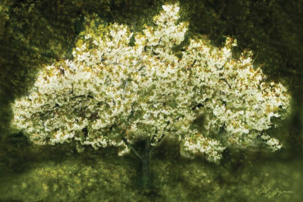 White Cherry Tree II art print by Vitaly Geyman for $57.95 CAD
