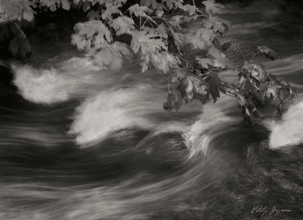 Flowing Waters X art print by Vitaly Geyman for $57.95 CAD