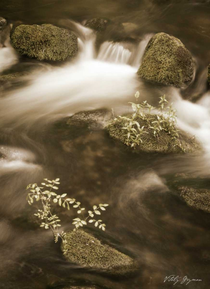 Sepia Waters II art print by Vitaly Geyman for $57.95 CAD