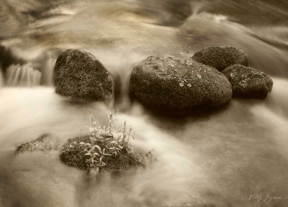 Sepia Waters VI art print by Vitaly Geyman for $57.95 CAD