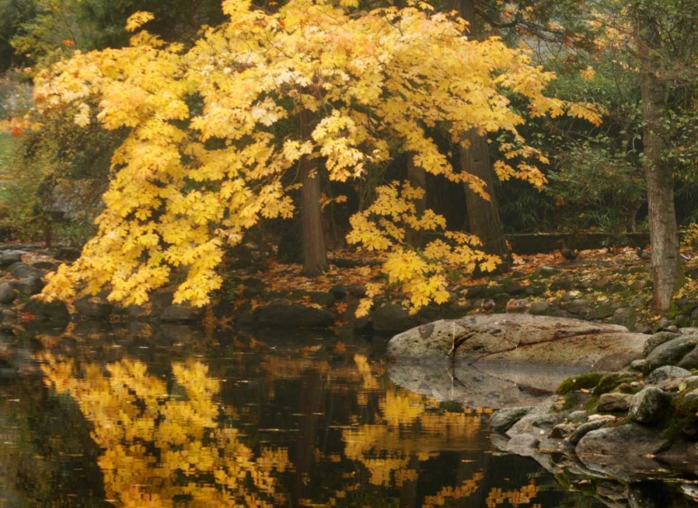 Autumn Reflections II art print by Vitaly Geyman for $57.95 CAD