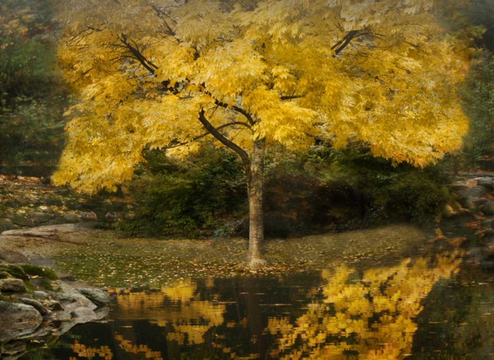 Autumn Reflections III art print by Vitaly Geyman for $57.95 CAD