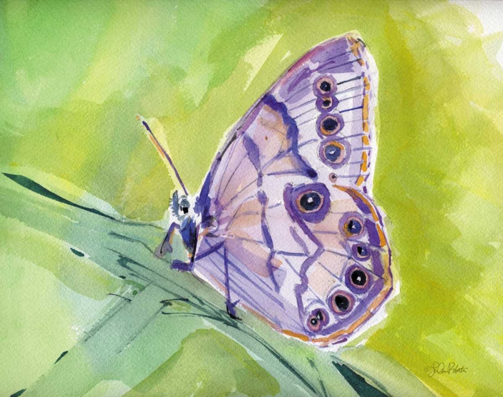 Watercolor Butterfly IV art print by LuAnn Roberto for $57.95 CAD