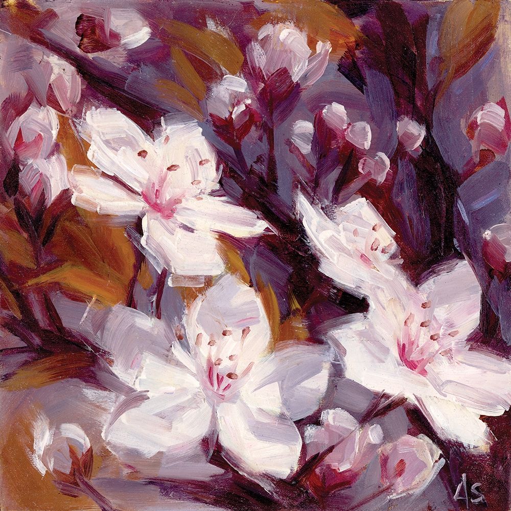 Cherry Blossoms art print by Annie Salness for $57.95 CAD