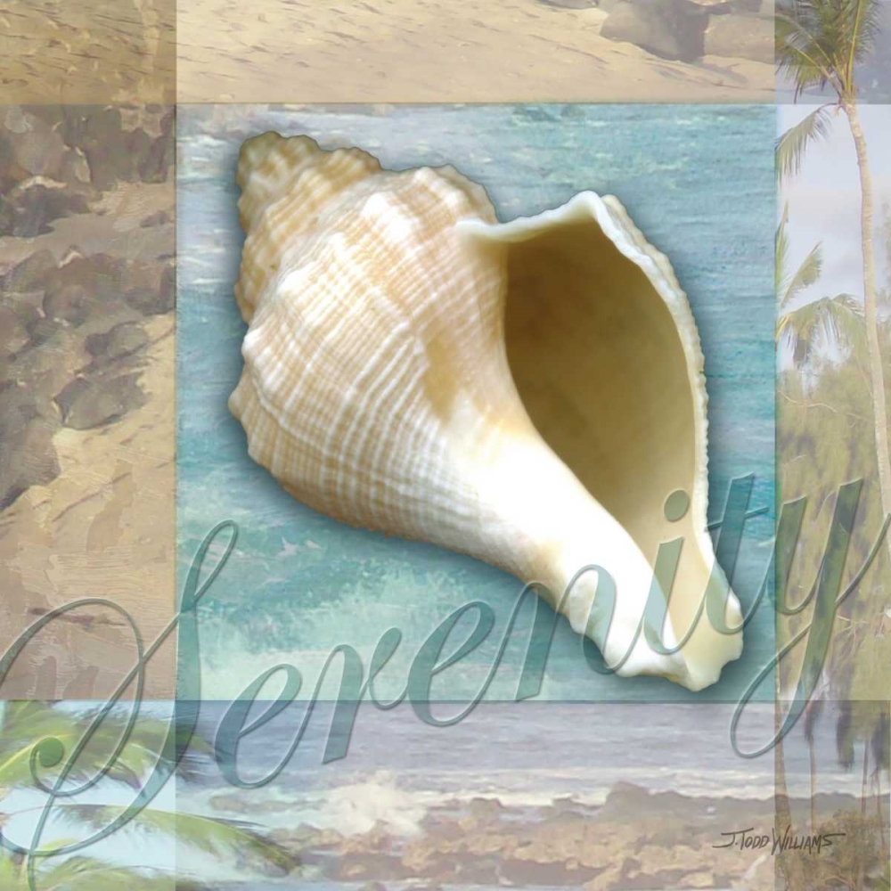 Serenity Shell art print by Todd Williams for $57.95 CAD