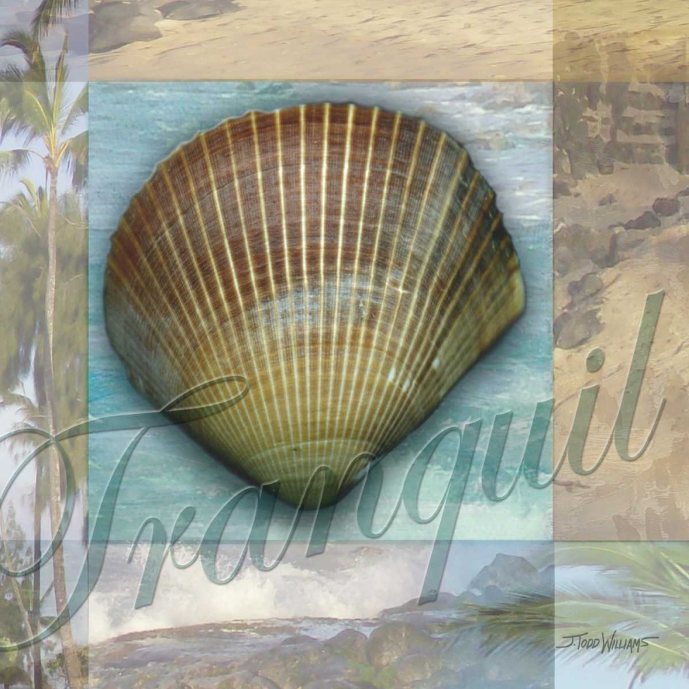 Tranquil Shell art print by Todd Williams for $57.95 CAD