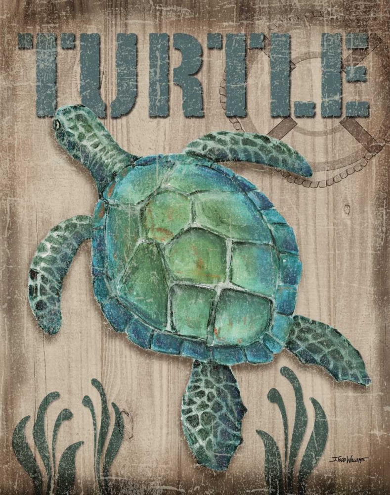 Turtle art print by Todd Williams for $57.95 CAD