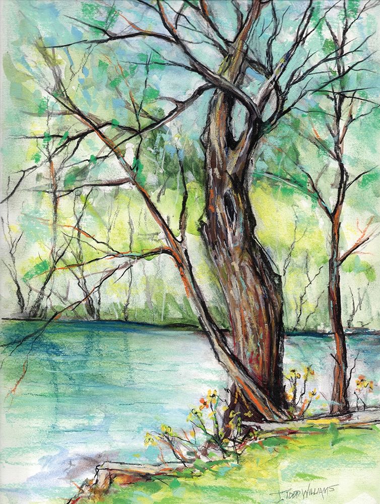 The Banks of Shoal Creek art print by Todd Williams for $57.95 CAD