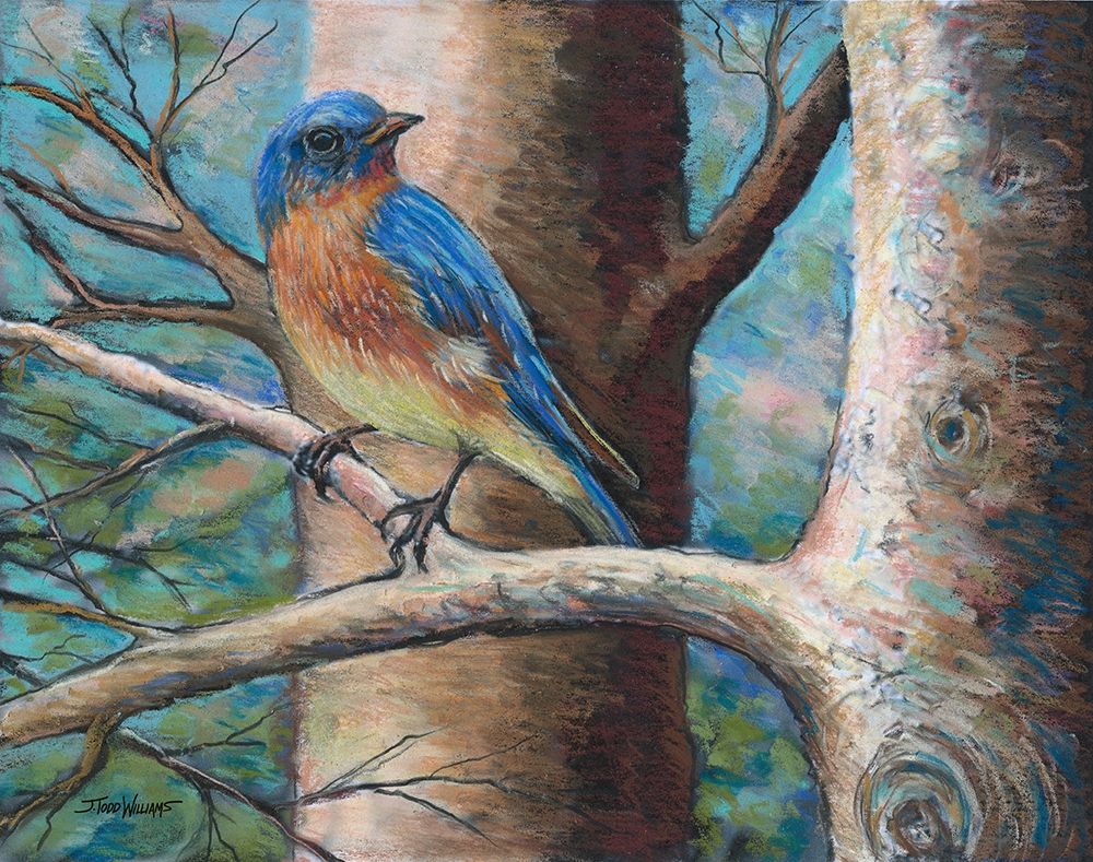 Blue Bird art print by Todd Williams for $57.95 CAD