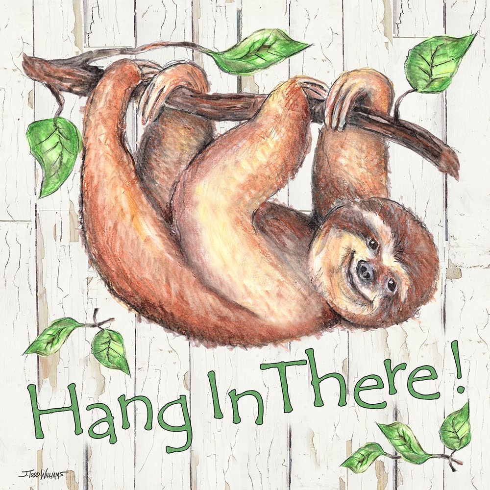 Sloth art print by Todd Williams for $57.95 CAD