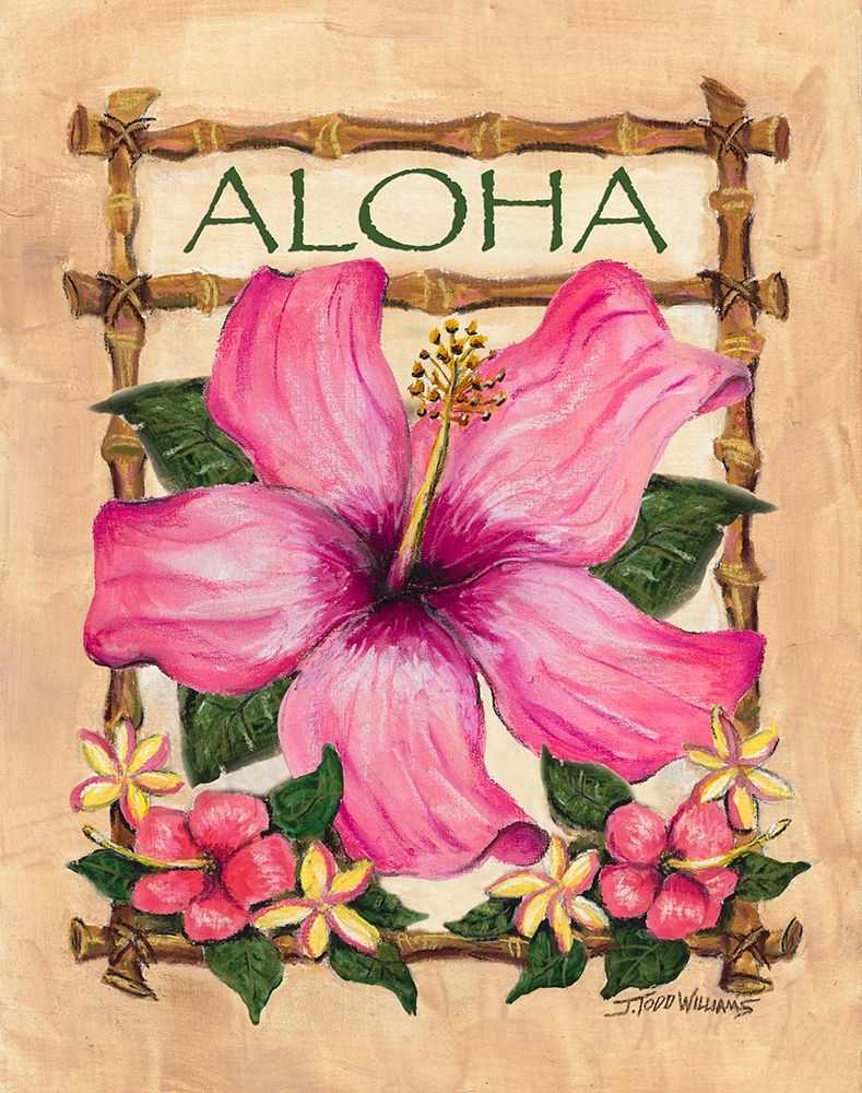 Aloha Hibiscus art print by Todd Williams for $57.95 CAD
