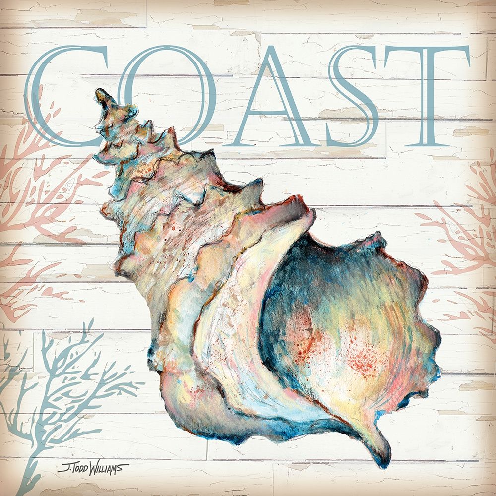 Coast Shell art print by Todd Williams for $57.95 CAD