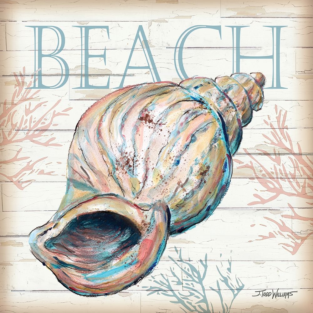 Beach Shell art print by Todd Williams for $57.95 CAD