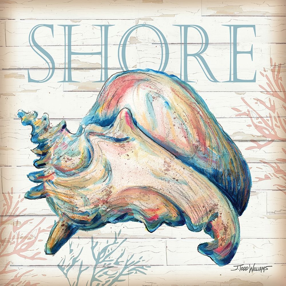 Shore Shell art print by Todd Williams for $57.95 CAD