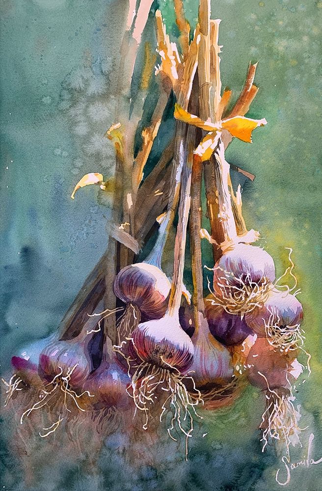Garlic art print by Samira Yanushkova for $57.95 CAD