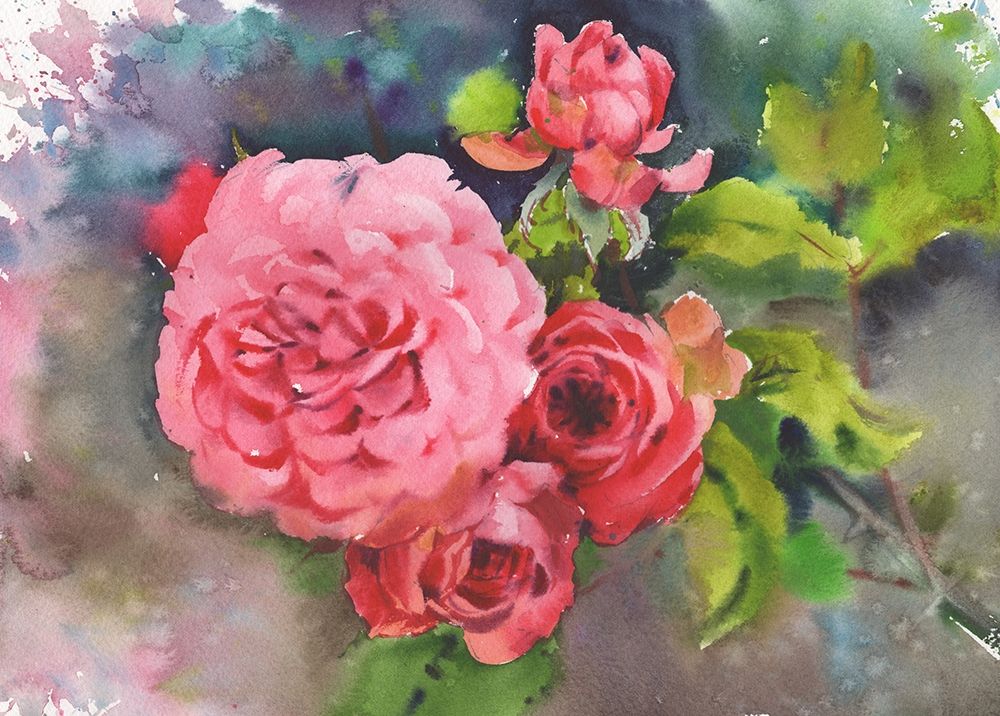 Red rose flowers art print by Samira Yanushkova for $57.95 CAD