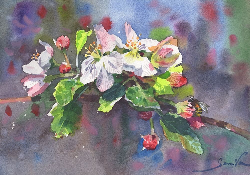 Blooming cherry flowers with bee art print by Samira Yanushkova for $57.95 CAD