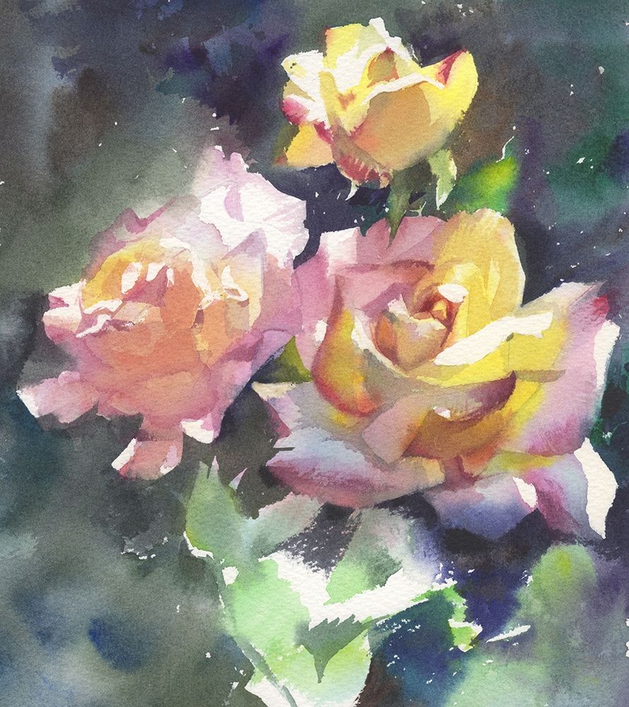 Roses flowers watercolor painting art print by Samira Yanushkova for $57.95 CAD