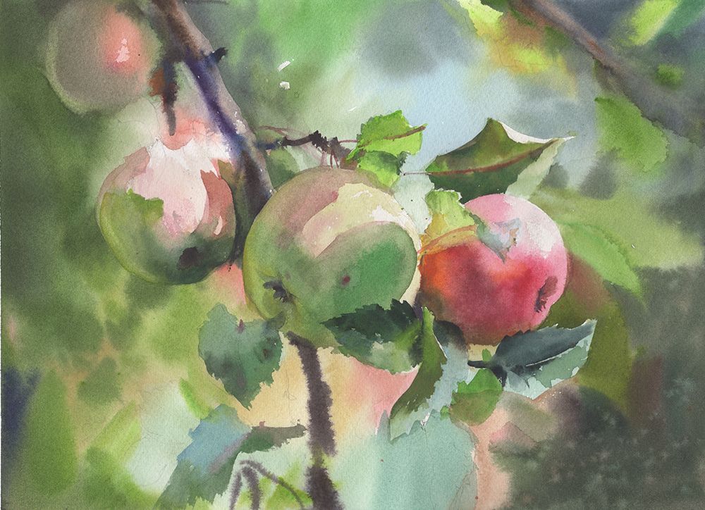 Apples On A Branch art print by Samira Yanushkova for $57.95 CAD