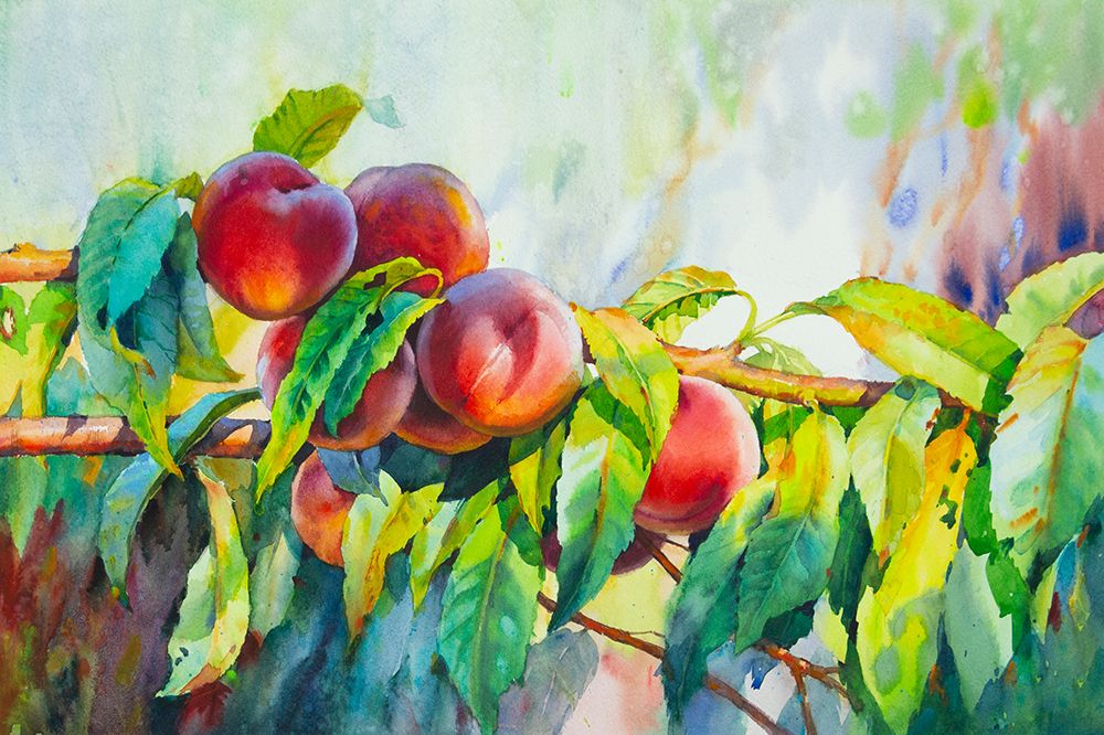 Peaches On A Branch art print by Samira Yanushkova for $57.95 CAD