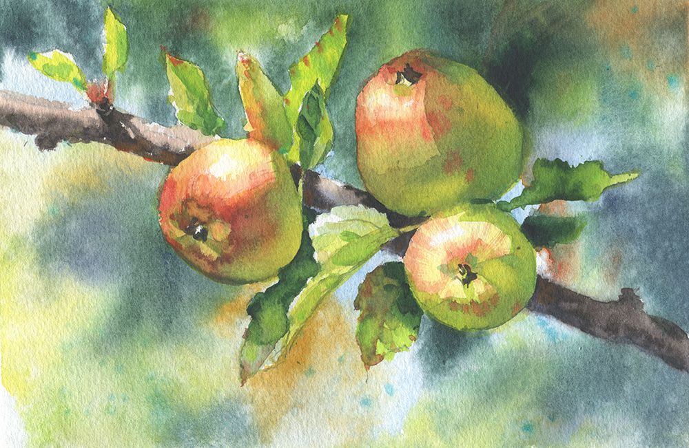 Apples On A Branch art print by Samira Yanushkova for $57.95 CAD