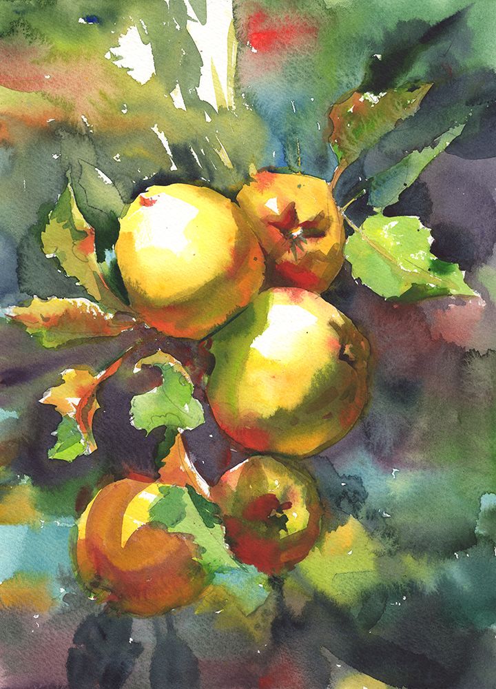 Apples on a branch. Watercolor art print by Samira Yanushkova for $57.95 CAD