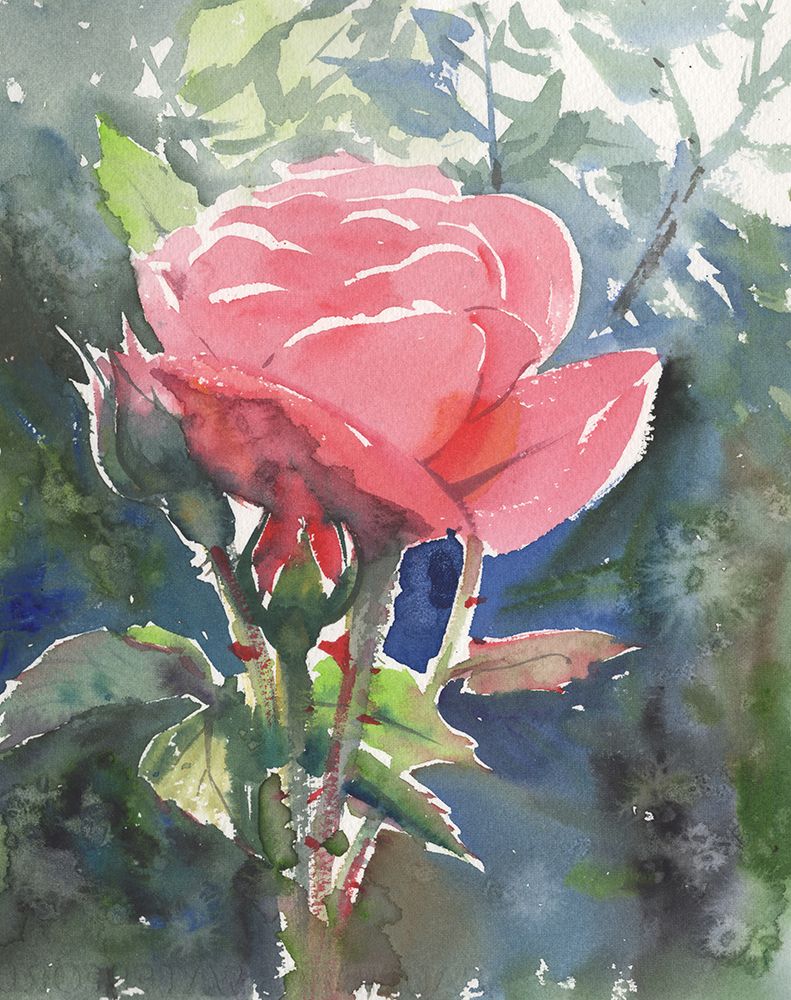 Romantic rose art print by Samira Yanushkova for $57.95 CAD