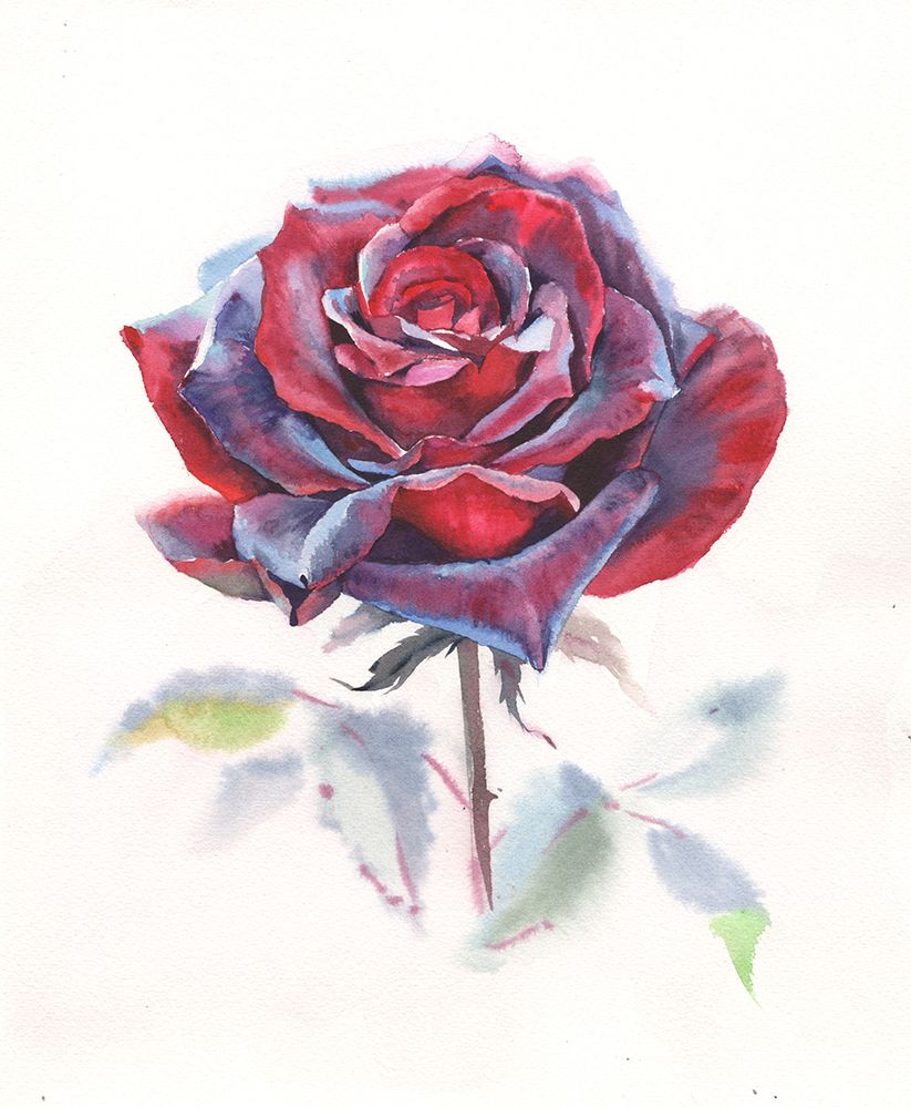 Seductive color. Watercolor art art print by Samira Yanushkova for $57.95 CAD