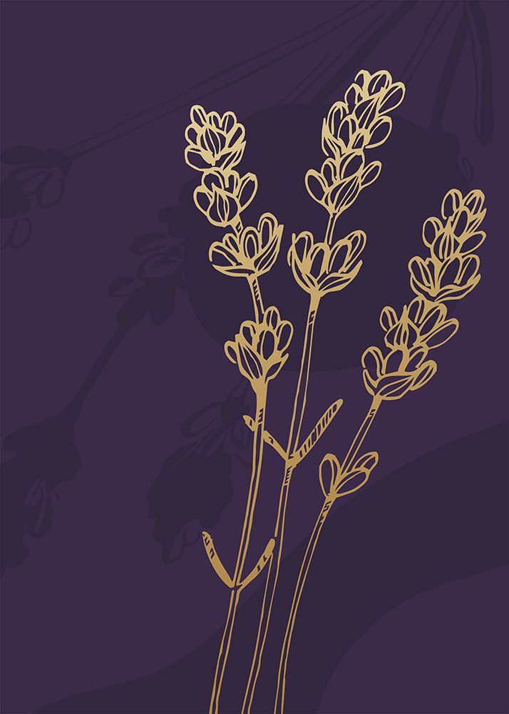 Lavender sketch art print by AcantStudio for $57.95 CAD