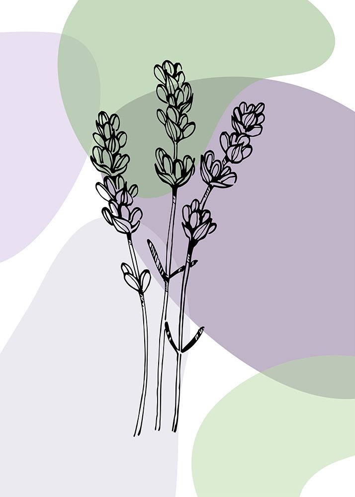 Lavender flower art print by AcantStudio for $57.95 CAD