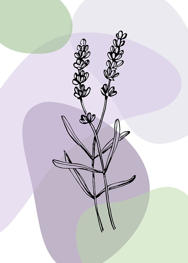 Lavender plant art print by AcantStudio for $57.95 CAD
