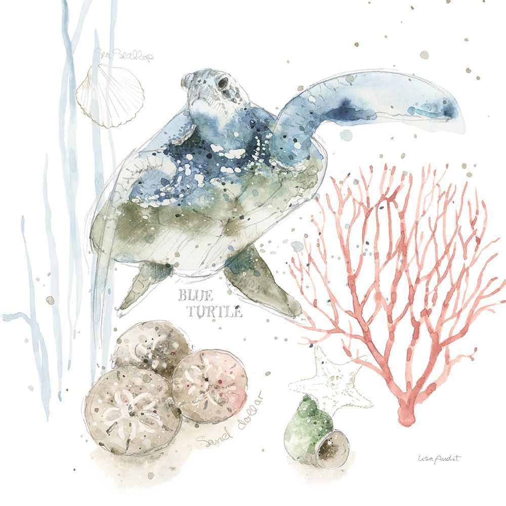 Sea Echoes II art print by Lisa Audit for $57.95 CAD