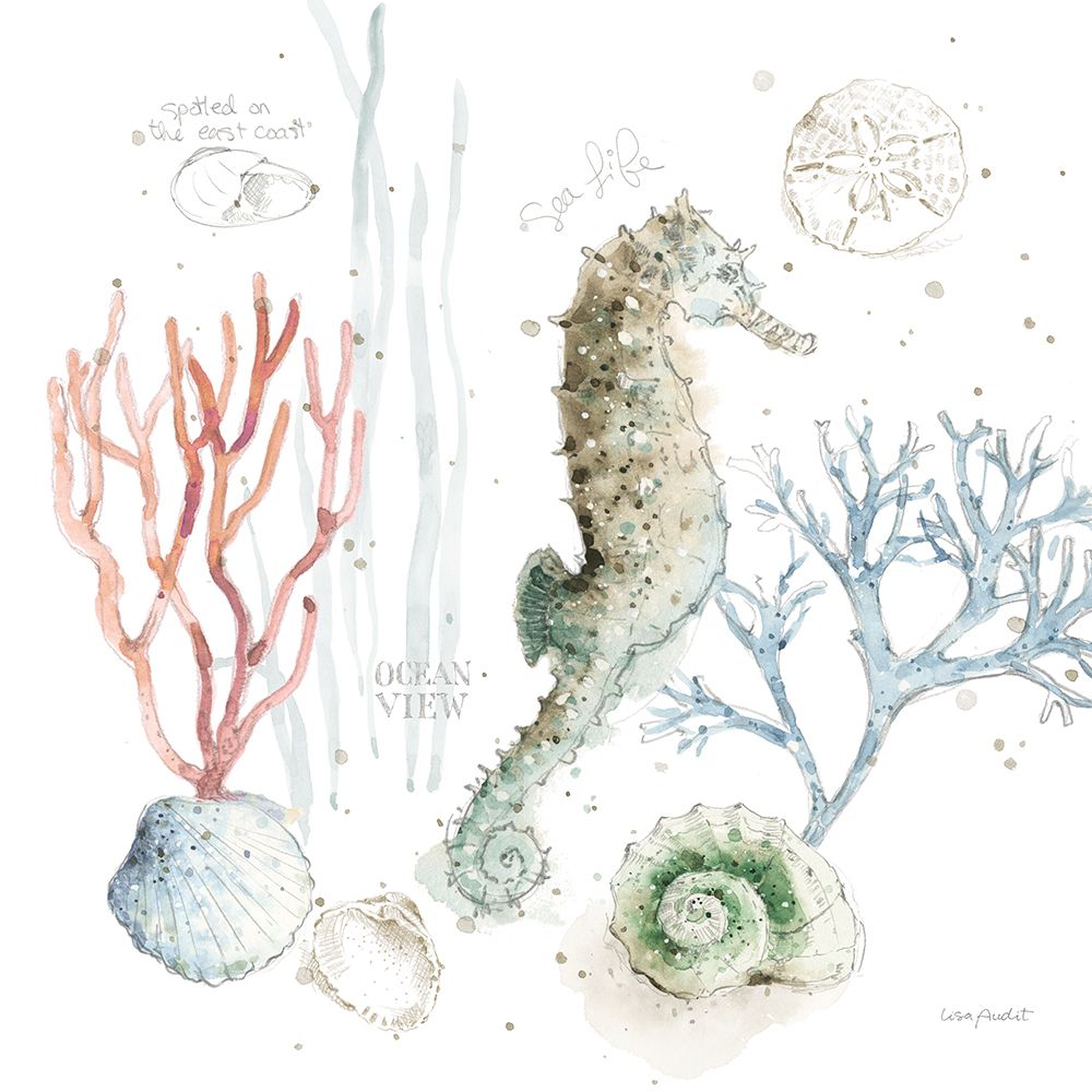 Sea Echoes IV art print by Lisa Audit for $57.95 CAD