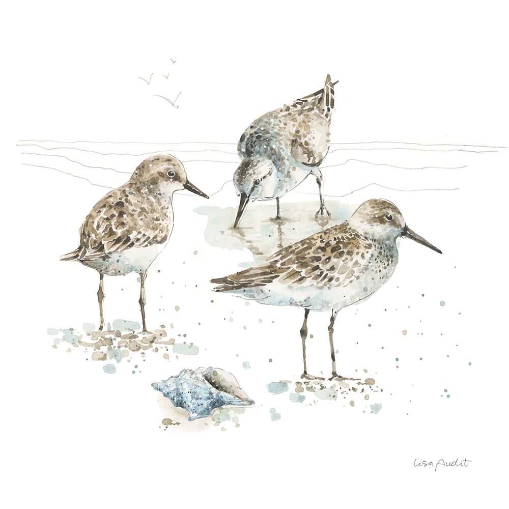 Sea Echoes VII art print by Lisa Audit for $57.95 CAD