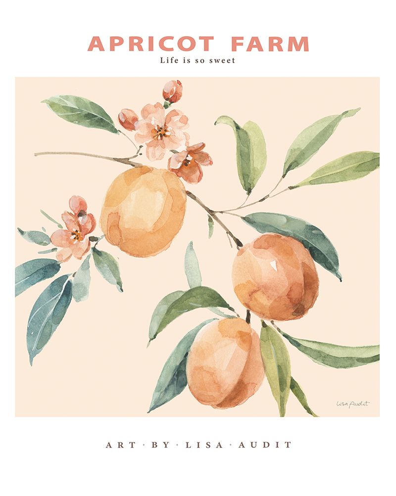 Southern Sweets II art print by Lisa Audit for $57.95 CAD